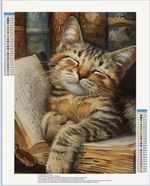 Tabby Cat on a Book Shelf 10% Charity Donation Diamond Art Painting Kit 30x40cm
