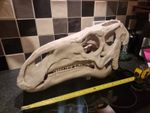 Iguanodon Replica Skull Large Dinosaur Skull Model