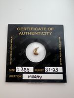 Rare Raw Gold Scottish Nugget 0.38g 21-23 Ct Goldwise Certified & Sealed (Moray)