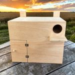 Little Owl Nest Box A Safe Haven Put In The Barn or somewhere Dry For Ever Home.
