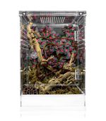 Swell Reptiles Acrylic Terrarium | 30 x 30 x 45cm | Suitable for mantis &spiders