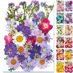 DIY Real Dried Press Flowers Candle Making Craft for Resin Jewelry Making Decors