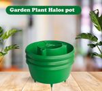 3x Garden Tomato Plant Halos Grow Bag Watering Pot Tomato Bean Grow Can Support