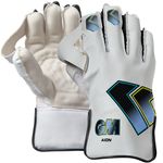 2025 Gunn & Moore Cricket AION Wicket Keeping GLOVES - Free P&P