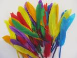 40 Indian Quill Feathers – 14cm Assorted Coloured Craft Plumes for Hats & Decor