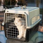 Portable Cat Crate - Air Box Travel Cage for Cat Puppy Transportation Basket