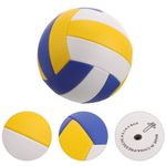Indoor Sports Training for Volleyball Official Size