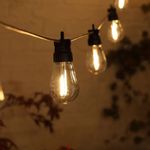 Solar Festoon Light Outdoor,15M/50FT Edsion Solar Light 20 bulbs with Remote