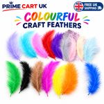 100 Solid Coloured Feathers - Mixed Sizes - Art, Craft, Bubble Balloon - Feather