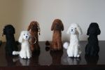 Needle Felted Poodles (3 colours) and Bichon Frise  Handmade. Free UK P+P