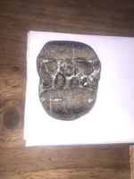 Ichthyosaur Jaw Section