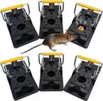 Roshield 6 x Mouse Trap, 6 Pack Heavy Duty Reusable Snap Traps that Kill