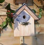Blue Tit Bird Box Nesting Box - Larch Welsh Slate 25mm hole bird house