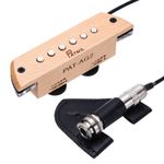 Acoustic Guitar Pickup Passive Guitar Pickups Volume Timbre Control