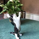 Winstanley Black/ White Reaching Cat Size 5 - amber glass eyes 32cm tall -  FAB!