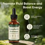 LYMPHORIA Lymphatic Drainage Drops Liquid Herbal Extract Supplement 59ml Dropper