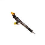 Renault Clio MK2 MK3 Diesel Fuel Injector Captur Megane 166008052R Genuine