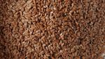100% Natural Flax Seeds Brown Healthy High in Fibre and Omega 3