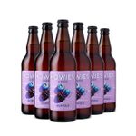 Howies Fruit Cider - Berry Flavour 6 x 500ml Glass Bottles