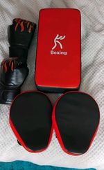 Kids Boxing Set with Focus Pads and Gloves Junior Punching Training
