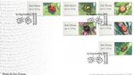 Ladybirds GB RM FDC Spot Lane Maidstone 2016 (135130)