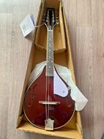 NEW Mandolin By Tanglewood, Model  Number TWMTWR,  Wine Red, Acoustic.