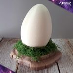 Dinosaur Raptor Egg Nest Display - Great For Jurassic Park Fans | Geek Gift