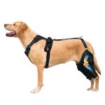 Dog Knee Brace for Torn ACL Leg for Support with Cruciate Ligament Injury