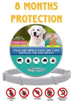 Advanced Adjustable Anti Flea and Tick Collar 8 Months Protection for Dogs Cats