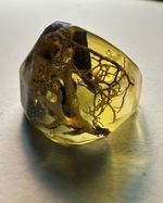 REAL Lichen Moss Wood Resin Ring Yellow Organic Inclusions Size 7