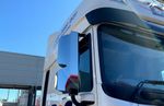 DAF XF/ CF Euro 6 Mirror Guards - Up to 2021 