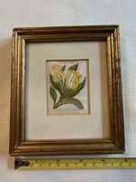 Kensitas Silk Flowers Cigarette Card, Darwin Tulip, No 13, Framed For Display
