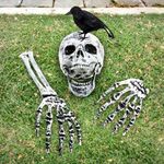 Outdoor-Scary Halloween Skeleton Stakes with Crow Halloween Decorations