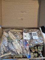 Premium Bioactive Bundle – Leaf Litter, Rot Wood, Bark, Lichen, and more