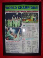 Pakistan 1992 ICC Cricket World Cup winners - framed print