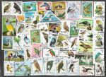 Birds on stamps 300 all different Nature  collection