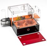 Acrylic Ant Farm Habitat Ant Nest Formicarium for Live Ants w/Water Feeder Gifts