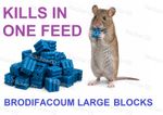 Rat Poison Feed Rat & Mouse Bait Blocks Strong Fast Killer One Feed