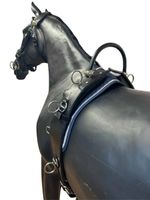 Weissl leather lunging strap with strap