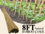8FT PROFESSIONAL HEAVY DUTY BAMBOO CANES EXTRA STRONG GARDEN PLANT SUPPORT STAKE