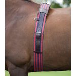 SHIRES LEATHER & WEBBING LUNGE ROLLER FULLY ADJUSTABLE LUNGING HORSE TRAINING
