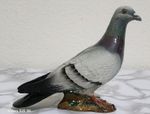 Beswick Rare 2 Striped Racing Pigeon in Grey Gloss by Mr Orwell No. 1383
