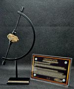 Genuine meteorite space rock in black Caliper art gift collectible with COA