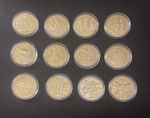 Set Of 12 Zodiac Coins