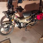 CT125 Hunter Cub