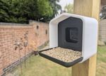 Smart Bird Feeder with Blink Camera Mount – Outdoor Wildlife Footage Made Easy