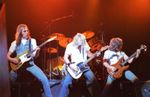 STATUS QUO in concert 1981! 62 RARE PHOTOS! 'Never Too Late' tour, Hammersmith! 