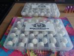 68 Cal Natural Wax Ammo 48 rounds Umarex HDS HDR