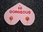 Christmas present idea: naughty adult sign: "Hi Gorgeous"