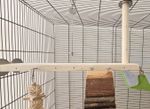 Sky Platform & Hooks (40cm) - Pet Cage Accessories, Shelf, Ledge, Rat, 21cm Pole